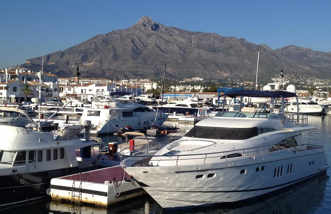 Banus Elegant Modern Studio-1