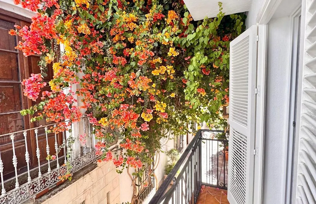 Apartamentos Ana Marbella Centro-1