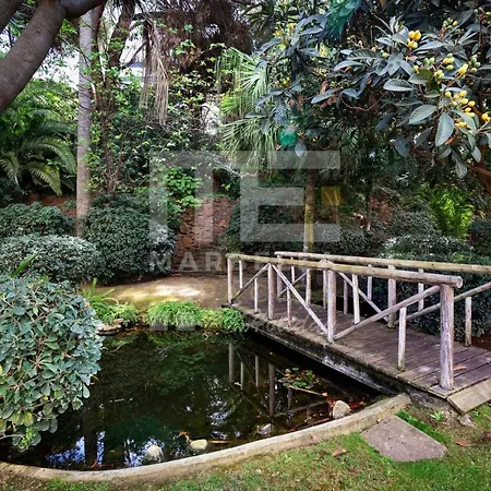 Amazing Apartment ,Center Of Marbella, Beach 338-3