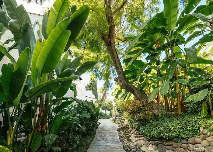 Puente Romano Beach Suites - Private Apartaments Marbella