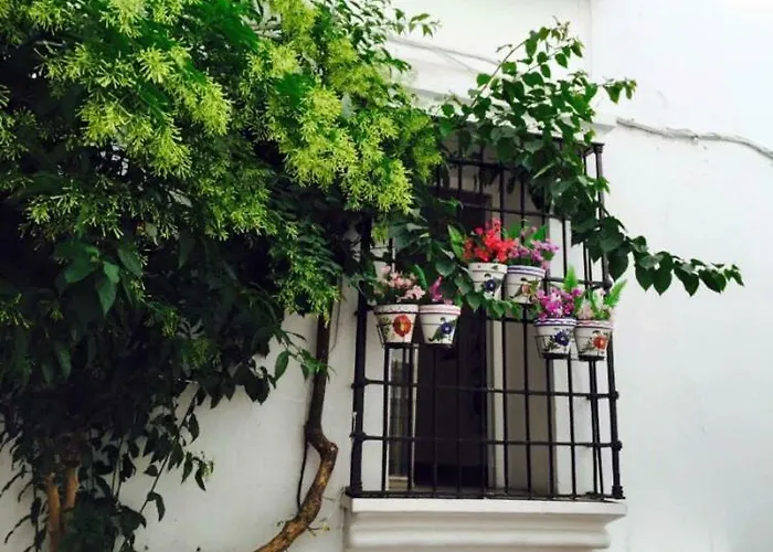 Apartments In Old Town Marbella